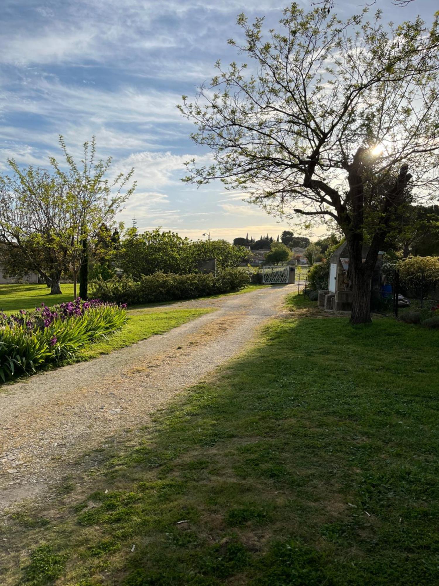 La Bergerie Leilighet Domessargues Eksteriør bilde